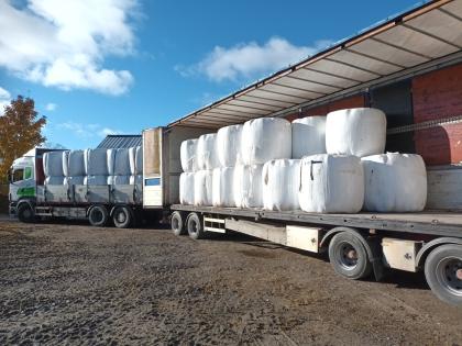 Suche investor gesucht