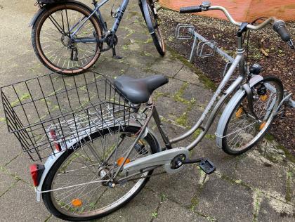 Stadtfahrrad Bavaria Line Lizzard für Damen, Nabenschaltung, Beleuchtung, Korb