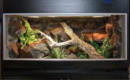 Terrarium für Schlangen