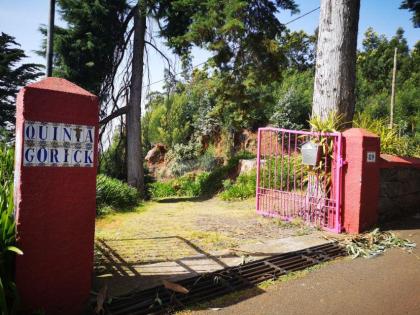 Traumhafte Geschäftsmöglichkeit auf Madeira