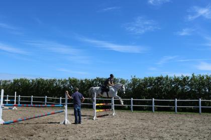 Kinderreitferien & Reiten für Erwachsene