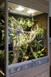 Regenwaldterrarium für Chamäleons (unser Typ R03)