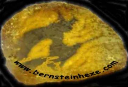 Bernsteinschmuck und mehr