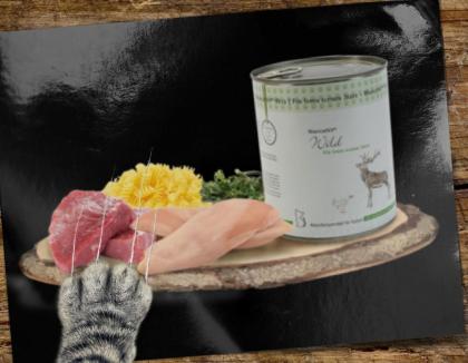 Katzen würden Ihr Futter Reico kaufen!