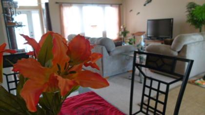 Ferienhaus in Florida für bis zu 6 Personen ab 56,-p.Tag