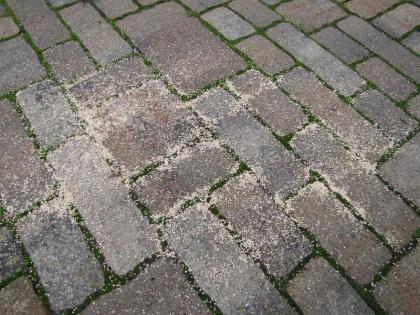 Fußwegreinigung / Pflanzliches Winterstreugranulat für empfindliche Flächen