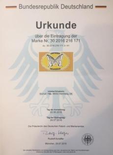 Ausbildung Metamorphose - pränatale Therapie - eine Form der Körperpsychotherapi