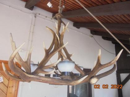 Kronleuchter, Deckenlampe, Hängelampe, Geweih, Gehörn, Geweihlampe, Geweihkronle