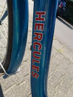(6) 7 Gang 26 Zoll Rücktrittsbremse tiefer Einstieg Rh 47 Korb am Lenker