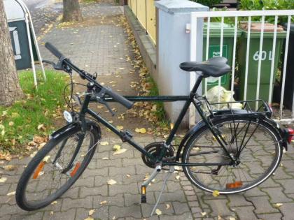 (63) 21 Gang 26 Zoll Rh 55 mit Beleuchtung