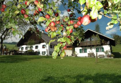 Ferienwohnung am Attersee -  