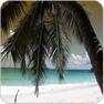 Reiseangebot