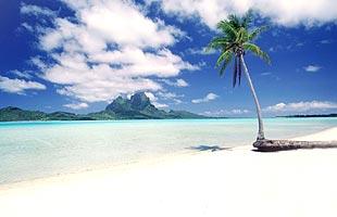 Top Last - Minute Angebote!!!!