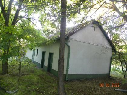 In Ungarn Ullés ein geplegtes, ruhiges 80 m2 Bauernhof mit 28000 m2 Grundstück i