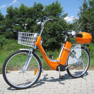 26Zoll 250Watt E-BIKE PEDELEC FAHRRAD ELEKTROFAHRRAD