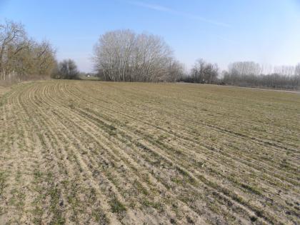 In Ungarn Kiskunmajsa 80 m2 Bauernhaus mit 4,5 ha Land