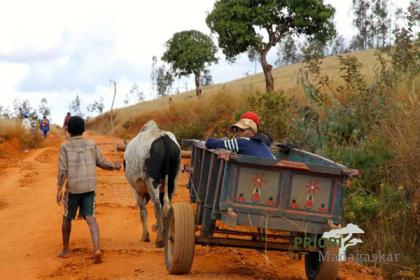 Madagaskar Frauenreise - Von und für Frauen 2021