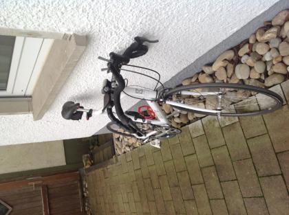 Sport- Rennrad