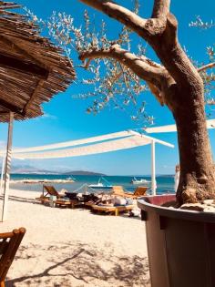Am Meer  Ferienwohnung mit Terrasse,Whierpool ,Garten,Grill und Parkplatz .
