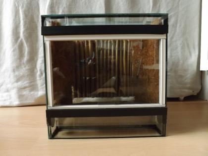 20- 25 Terrarien Abzugeben