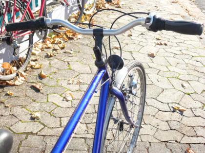 (53) 21 Gang 28 Zoll Rh 54 mit Beleuchtung u Gepäckträger
