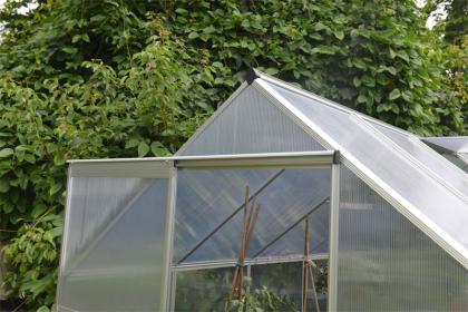 Gewächshaus Pflanzenhaus Garten Treibhaus Tomatenhaus 7qm