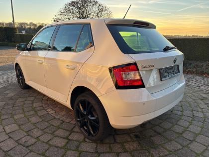 Skoda Fabia 1.2 TSI Joy