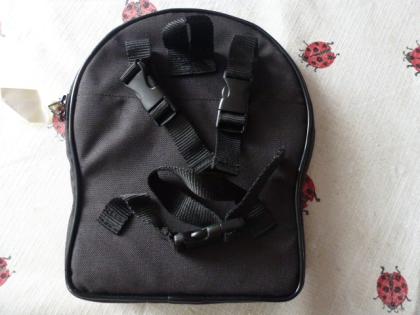 (51) Pinhead-Bügelschloss mit Schlüssel