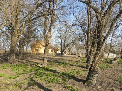 In Ungarn Kiskunmajsa 80 m2 Bauernhaus mit 4,5 ha Land
