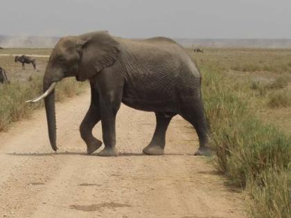 Kenia Rundreise nur für Frauen, Lady Safaris