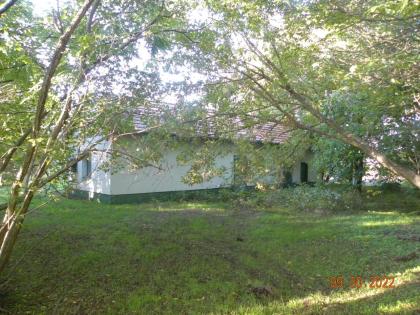 In Ungarn Ullés ein geplegtes, ruhiges 80 m2 Bauernhof mit 28000 m2 Grundstück i