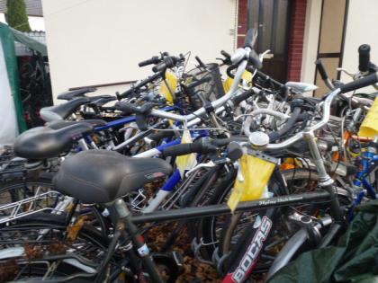 (181) 24 Gang FOCUS USA 26 Zoll Rh 59 sehr leicht