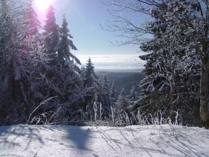 Ferienwohnungen im Harz - für 2 - 9 Personen und für jeden Geldbeutel