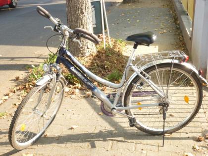 (181) 24 Gang Aactiue 28 Zoll Rh 48 RAHMEN ALU