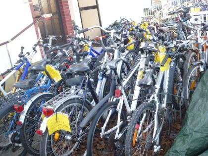 (14) 7 Gang Rücktrittsbremse 24 Zoll Rh 36 mit Nabendynamo