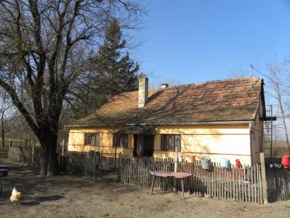 In Ungarn Kiskunmajsa 80 m2 Bauernhaus mit 4,5 ha Land
