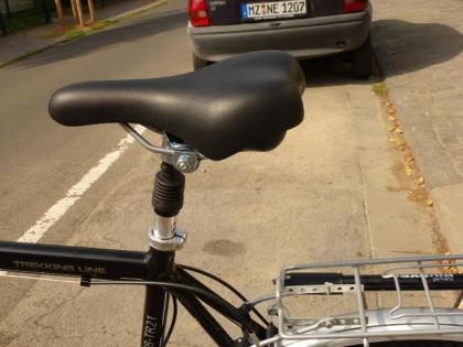 (17) 21 Gang 28 Zoll Gabel u Sattel gefedert Rahmen ALU (NEU)