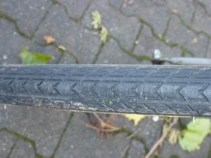 (145) 5 Gang 28 Zoll Rh 54 tiefer Einstieg SCHNEIDER