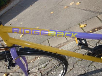 (49) 18 Gang 28 Zoll Rh 46 RIDGEBACK