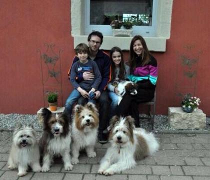 Familienhund Elo® - Welpen von Werths Echte Ende 2021.