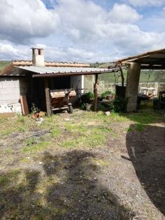 Sardinien, Weinberg, Land, 3 Ha, Existenz, Baugenehmigung, Auswandern, Selbstver