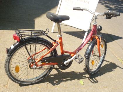 (161) 3 Gang Rücktrittsbremse 20 Zoll tiefer Einstieg PEGASUS