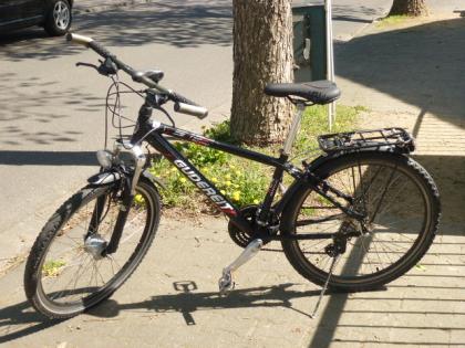 (245) 21 Gang 26 Zoll GUDEREIT Gabel gefedert Nabendynamo