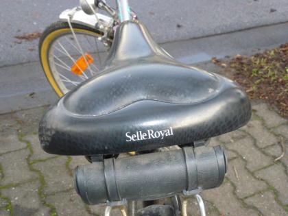 (175) 3 Gang Rücktrittsbremse 28 Zoll tiefer Einstieg ENIK handgelötet