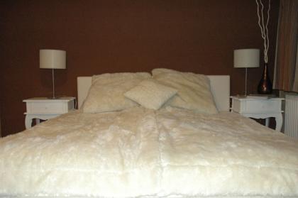 Luxus Ferienwohnungen in Brixental, Tirol - Wilde Kaiser!