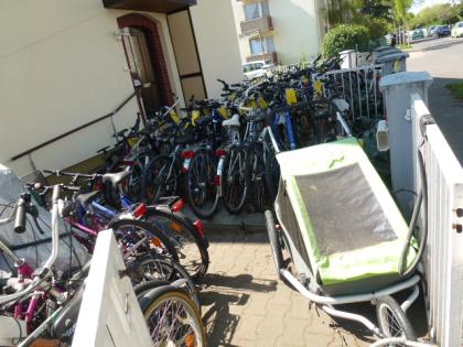 (243) 3 Gang Rücktrittsbremse ALU-RAHMEN 20 Zoll