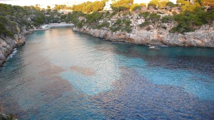 Abnehmcamp auf Mallorca Februar 2021