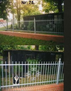 Tore, Pforten und Zäune aus POLEN – WERKVERKAUF 