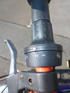 (131) 3 Gang Rücktrittsbremse tiefer Einstieg 24 Zoll Rh 37 PEGASUS