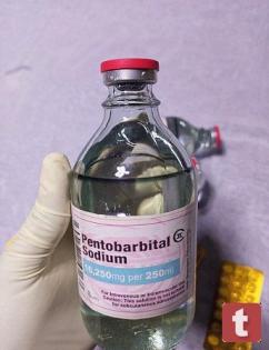 Nembutal, Nembutal online (50 gramm, 100ml, oder 50 Pillen) kaufen
